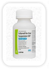 Image 0 of Cefprozil 250mg/5ml Powder Solution 75 Ml By Lupin Pharma