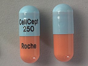Image 0 of Cellcept 250 Mg Caps 500 By Genentech Inc.