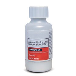 Image 0 of Amoxicillin 125.5 Mg-Ml Suspension 100 Ml By Westward Pharma.