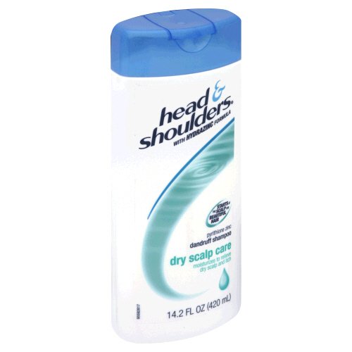 Head Shoulders Dry Scalp Care Dandruff Shampoo 14 2 Oz