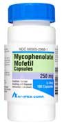 Mycophenolate Mofetil 250 mg Capsules 1X100 Mfg. By Apotex Corp