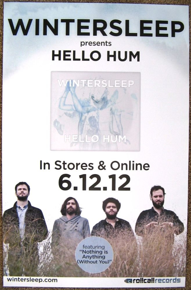 Image 0 of WINTERSLEEP Hello Hum POSTER 11x17