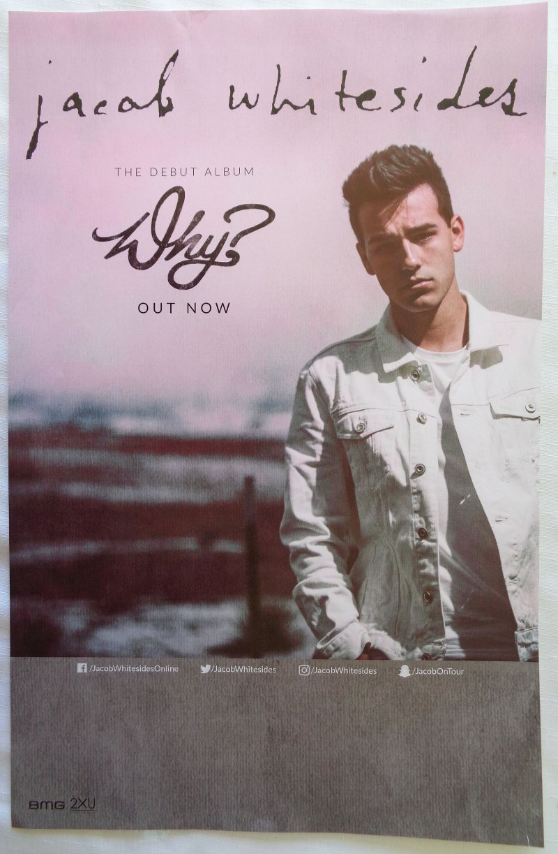 Image 0 of Whitesides JACOB WHITESIDES Why? POSTER 11x17