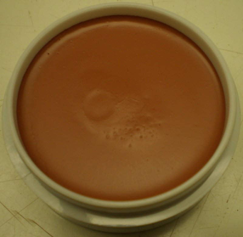 Image 0 of Daydew Silicone Foundation and Concealer Creme (Shade: Natural Bronze)