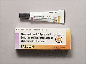 Neomycin Polymyxin B-Dexa Ointment Oph 3.5 Gm By Falcon 