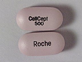 Image 0 of Cellcept 500 Mg Tabs 500 By Genentech Inc.