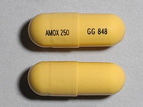 Image 0 of Amoxicillin 250 Mg Caps 500 By Sandoz Rx.