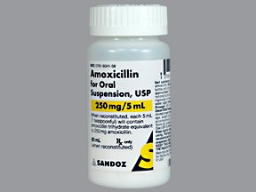 Amoxicillin 250 Mg/5Ml Suspension 80 Ml By Sandoz Rx