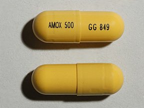 Amoxicillin 500 Mg Caps 100 By Sandoz Rx.