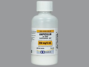 Ampicillin Trihydrate 250 Mg/5Ml Suspension 200 Ml By Qualitest Pharma