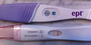 Image 2 of E.P.T Pregnancy Stick 2 Test Analog