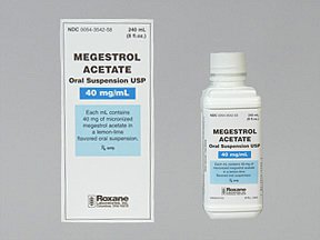 Megestrol Ace 40Mg/10Ml Susp 240 Ml By Roxane Labs