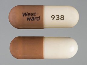 Amoxicillin 250 Mg Caps 100 By Westward Pharma. Free Shipping