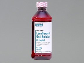 Image 0 of Levofloxacin 25Mg/Ml Solution 480 Ml By Akorn Inc 