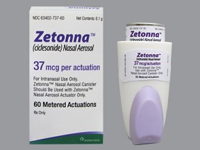 Zetonna 37 MCG 6.1 Gm By Sunovion Pharma 