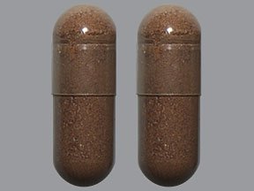 Image 0 of GNP Cinnamon 500 Mg 100 Caps