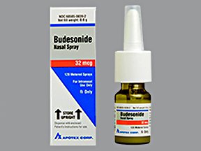 Budesonide 32 Mcg Nasal Spray 8.6 Gm By Apotex Corp.