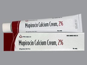 Image 0 of Mupirocin Calcium 2% Cream 30 Gm By Prasco Llc