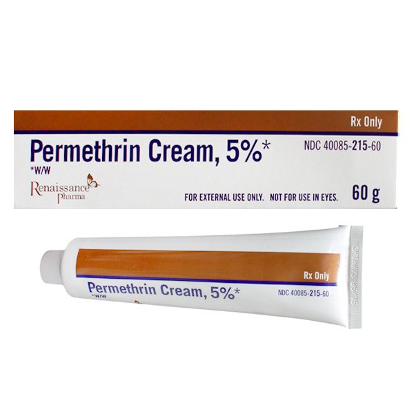 Permethrin 5% Cream 60 Gm By Renaissance Pharma