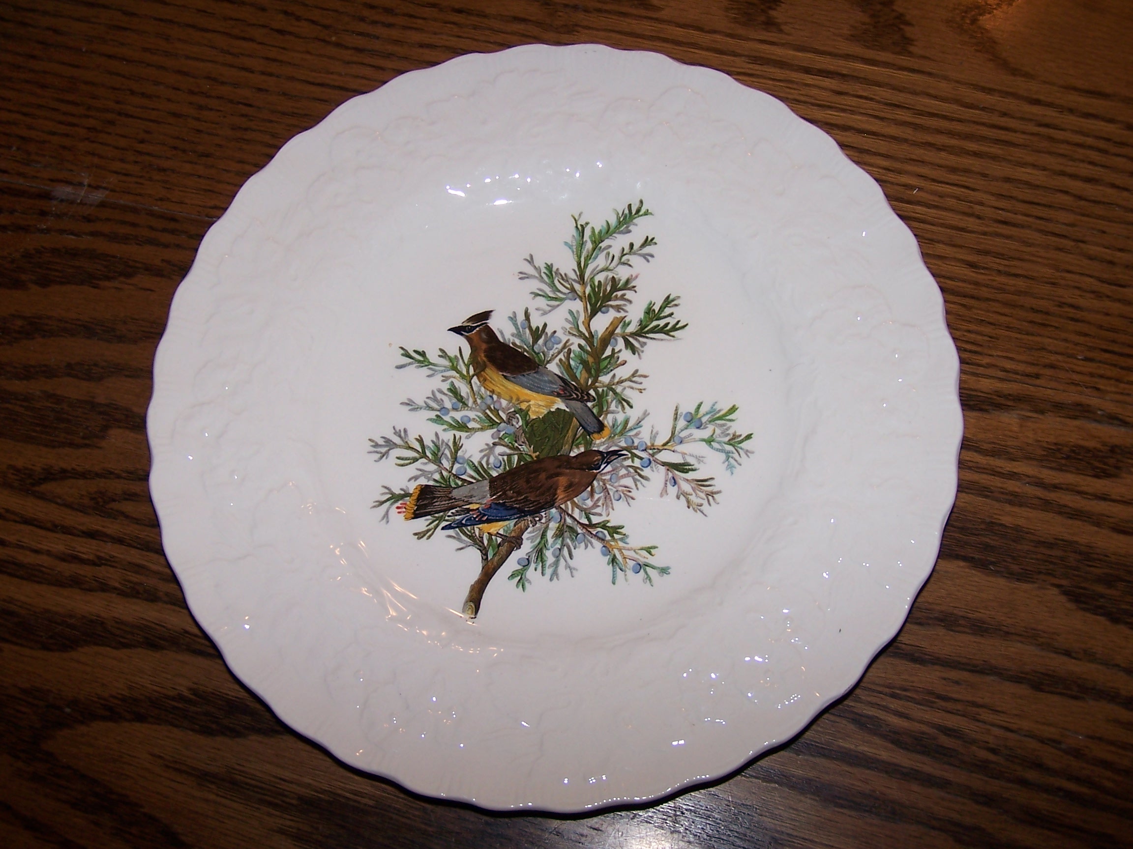 Cedar Bird, Plate 43