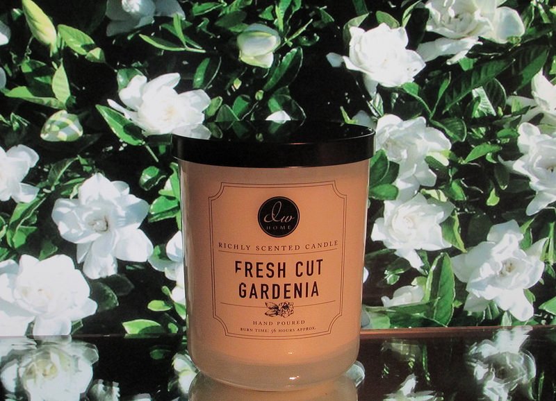 DW Home Hand Poured Candle Fresh Cut Gardenia 2 wick 15.48 oz votive 56