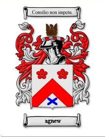 Image 0 of Agnew Coat of Arms Surname Print Agnew Family Crest Print