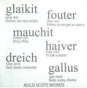 Image 1 of Auld Scots Words Printed Paper Napkins Serviettes Pack of 20