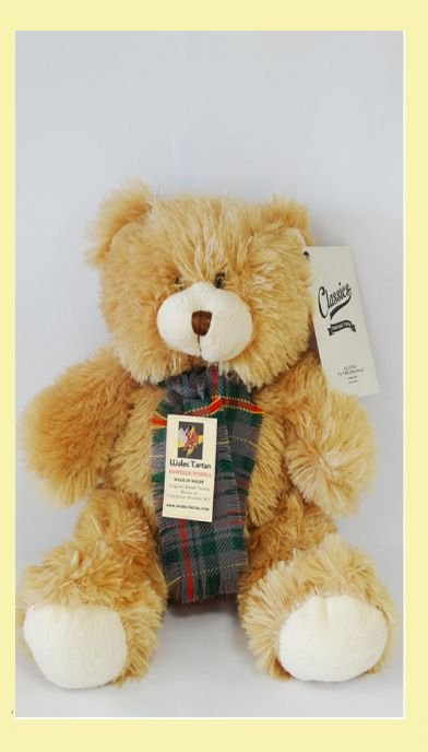 Image 0 of Evans Bevan Welsh Tartan Friendly Teddy Bear And Scarf Soft Toy 