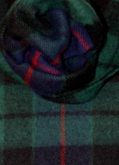 Image 3 of Morrison Green Modern Tartan Lambswool Fringed Scarf