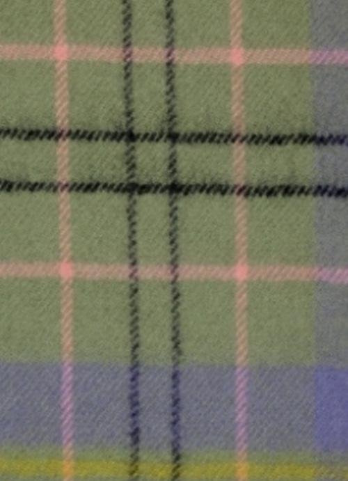 Image 2 of Taylor Ancient Tartan Lambswool Fringed Scarf