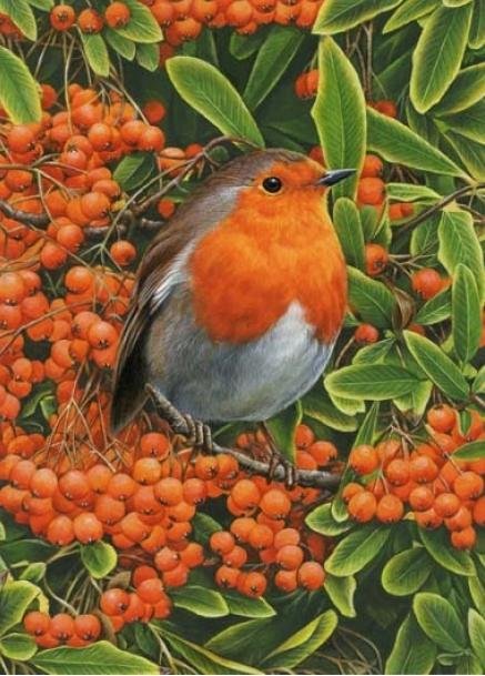 Image 1 of Orange Robin Bird Themed Maxi Wooden Jigsaw Puzzle 250 Pieces 