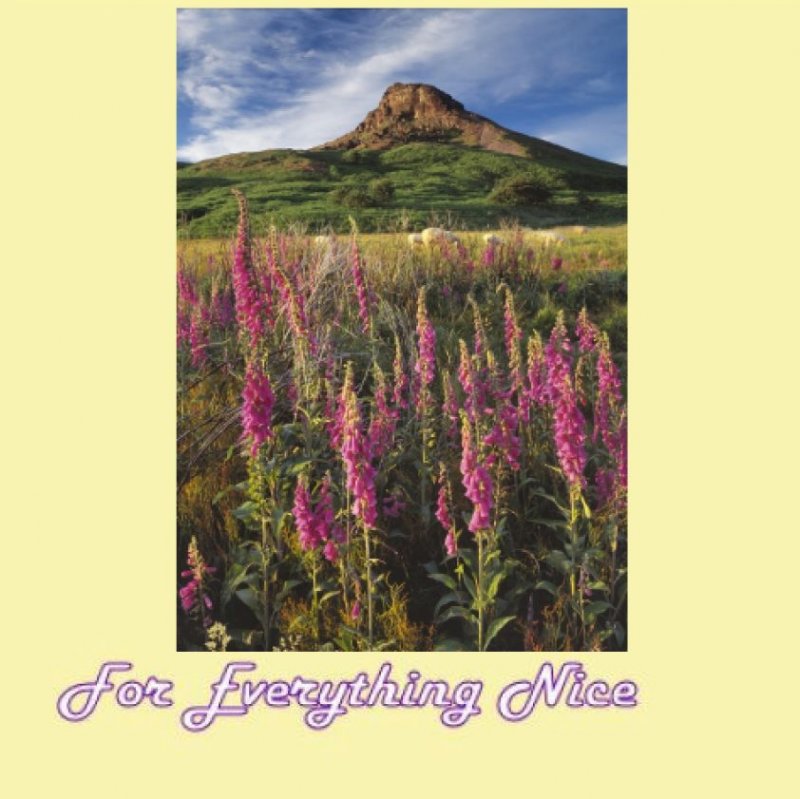 Image 0 of Foxgloves Nature Themed Majestic Wooden Jigsaw Puzzle 1500 Pieces