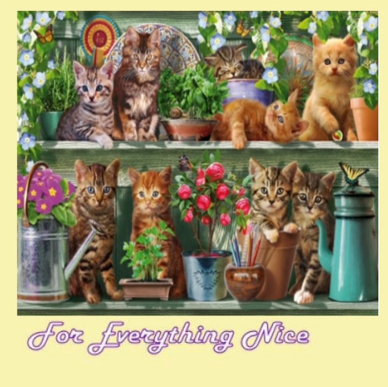 Image 0 of Kitchen Cats Animal Themed Maxi Wooden Jigsaw Puzzle 250 Pieces