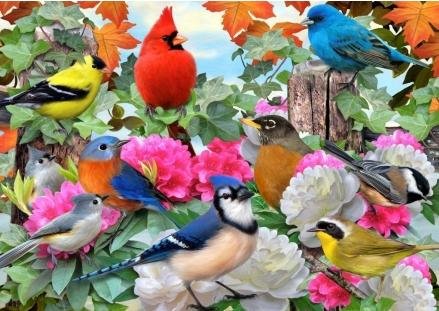 Image 1 of Birds For All Seasons Bird Themed Majestic Wooden Jigsaw Puzzle 1500 Pieces