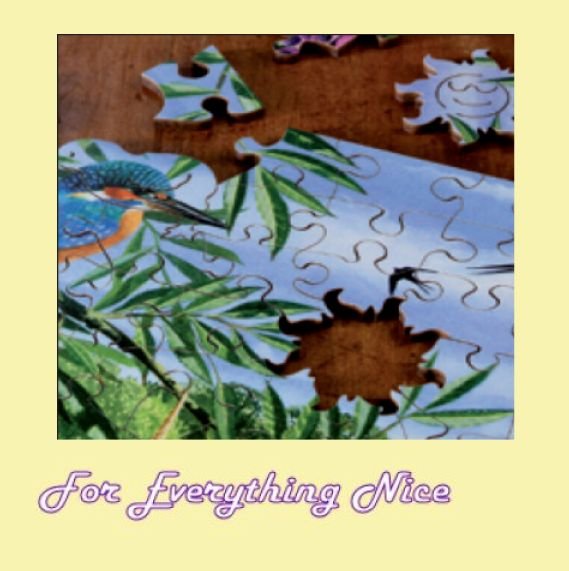 Image 2 of Birds For All Seasons Bird Themed Maxi Wooden Jigsaw Puzzle 250 Pieces