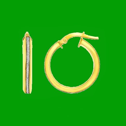 Image 0 of 14K Two Tone Gold Glitter Accent Circle Hoop Earrings  