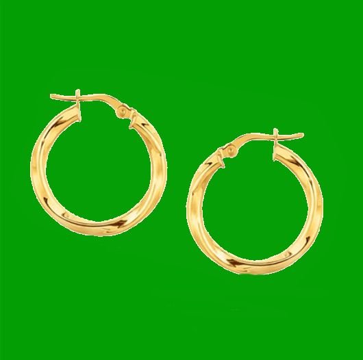 Image 0 of 14K Yellow Gold Twist Circle 20mm Hoop Earrings 