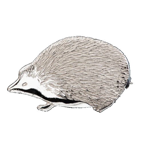 Image 1 of Hedgehog Animal Design Small Sterling Silver Brooch