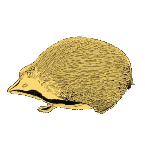 Image 1 of Hedgehog Animal Design Small 9K Yellow Gold Brooch