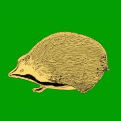 Hedgehog Animal Design Small 9K Yellow Gold Brooch
