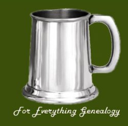 Half Pint Plain Blank Highly Polished Stylish Pewter Tankard