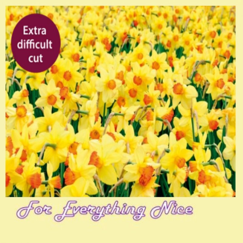 Image 0 of Difficult Daffodils Nature Themed Maxi Wooden Jigsaw Puzzle 250 Pieces 
