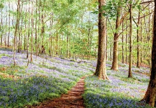 Image 1 of Bluebells Brathay Woods Nature Majestic Wooden Jigsaw Puzzle 1500 Pieces  