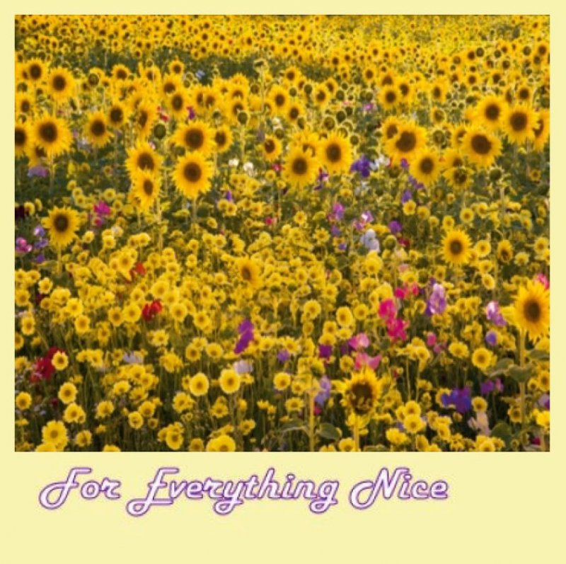 Image 0 of Sunflowers Wildflower Meadow Nature Themed Mega Wooden Jigsaw Puzzle 500 Pieces 