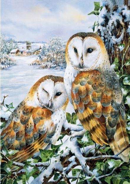 Image 1 of Barn Owls Bird Themed Magnum Wooden Jigsaw Puzzle 750 Pieces