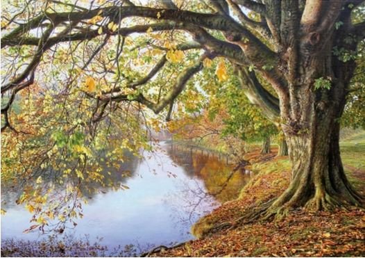 Image 1 of Autumn River Wharfe Nature Themed Majestic Wooden Jigsaw Puzzle 1500 Pieces 