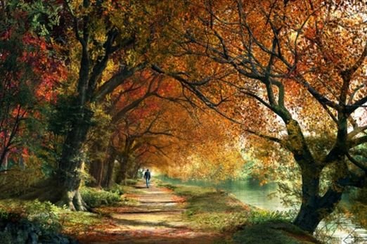 Image 1 of Forever Autumn Nature Themed Mega Wooden Jigsaw Puzzle 500 Pieces 