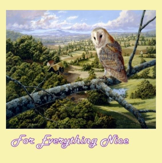 Image 0 of Barn Owl Bird Themed Maestro Wooden Jigsaw Puzzle 300 Pieces