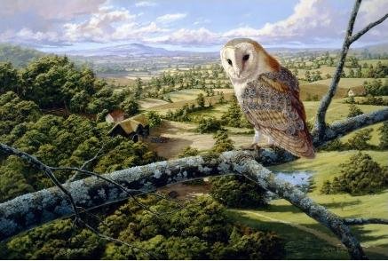 Image 1 of Barn Owl Bird Themed Majestic Wooden Jigsaw Puzzle 1500 Pieces