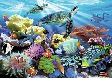 Image 1 of Reef Life Marine Animal Themed Maxi Wooden Jigsaw Puzzle 250 Pieces